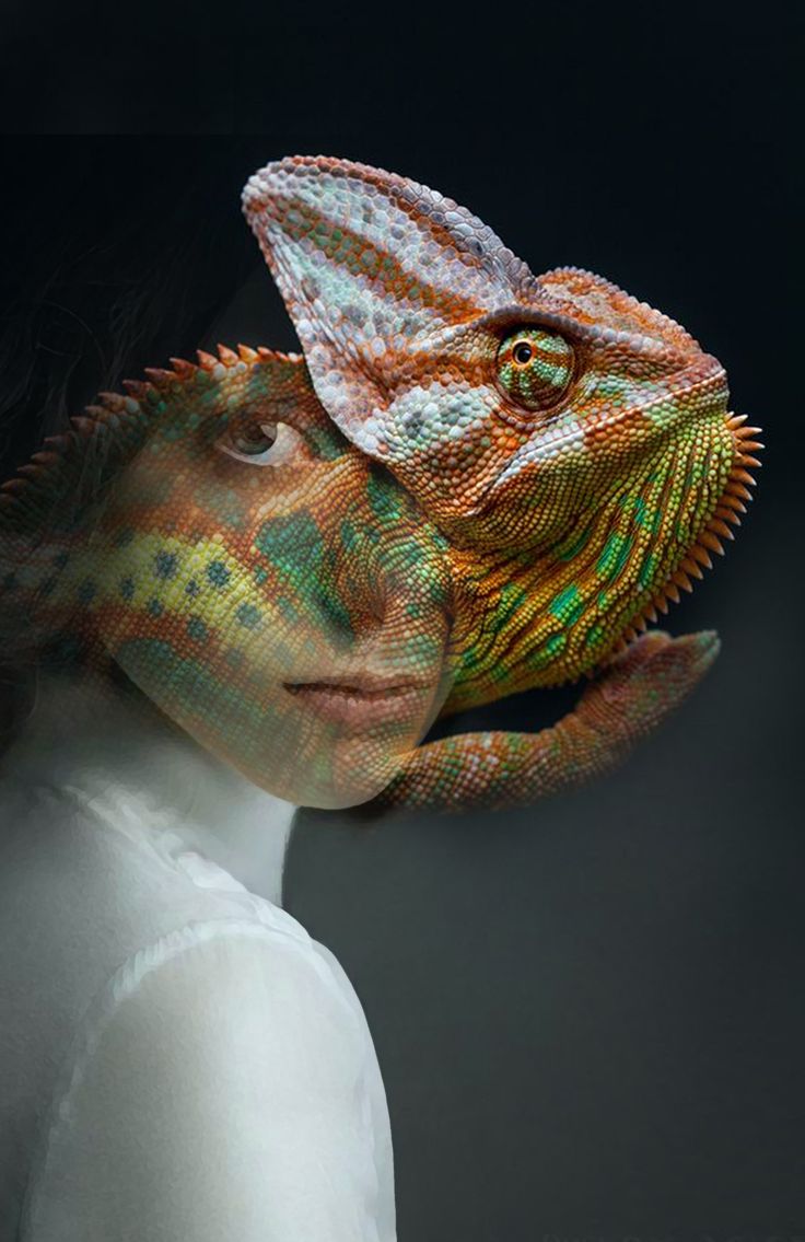 человек хамелеон арт. животные в костюмах. женщина хамелеон. йеменский хамелеон. человек хамелеон.